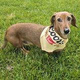 COORS BANQUET Dog Bandana